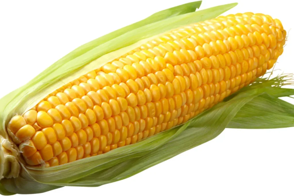 Corn. 