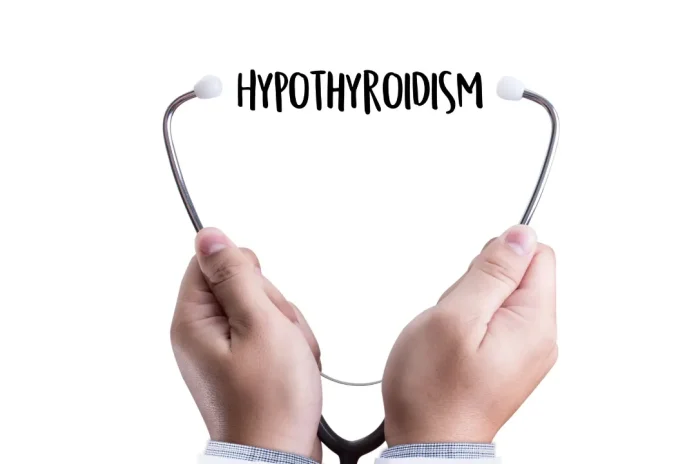 plant based protein powder for hypothyroidism.