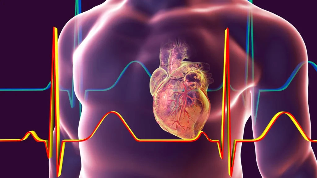 Cardiovascular Health